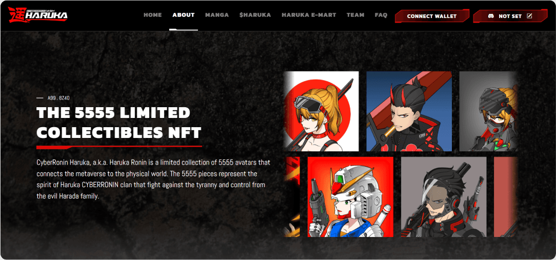 haruka ronin is one of our client in web development
